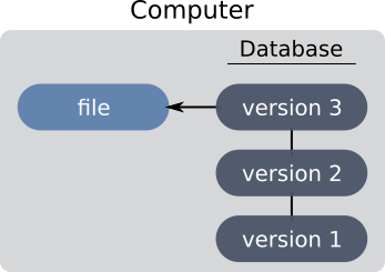 Git, local version control system